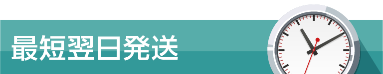 最短翌日発送